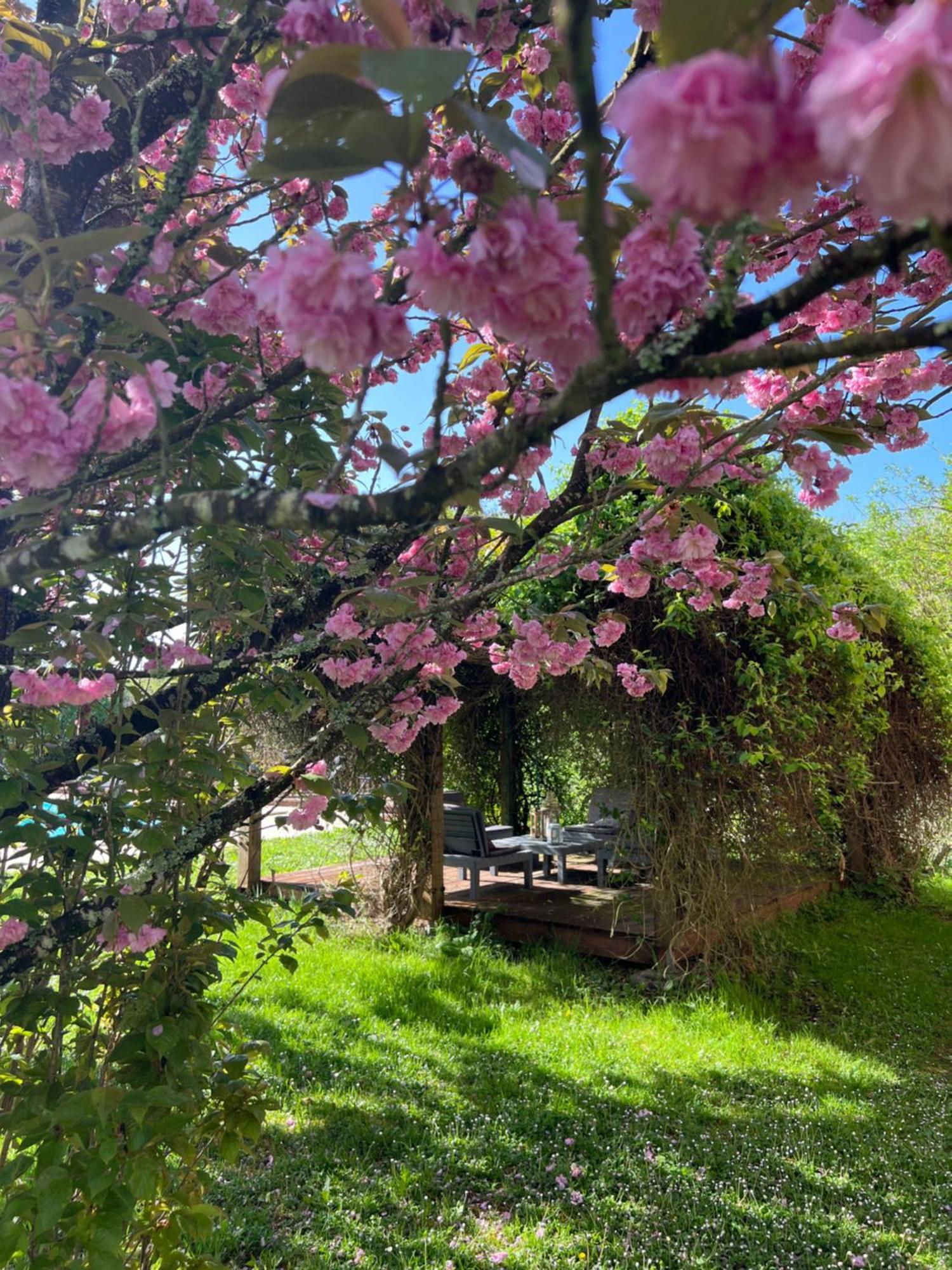 La Colline De Tilleul - Les Deux Puits - Cosy Cottage With Swimming Pool Near Aubeterre Saint-Romain  Eksteriør bilde
